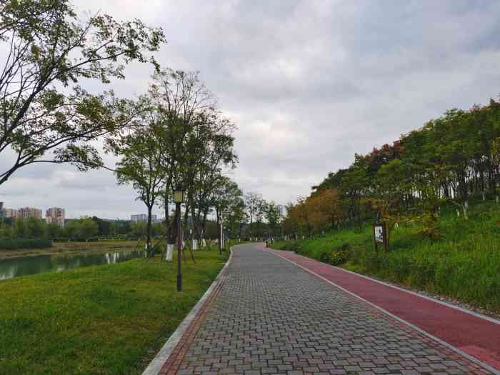 小枧城市生态湿地公园-"交通:离家很近的一个湿地公园,坐公交车.