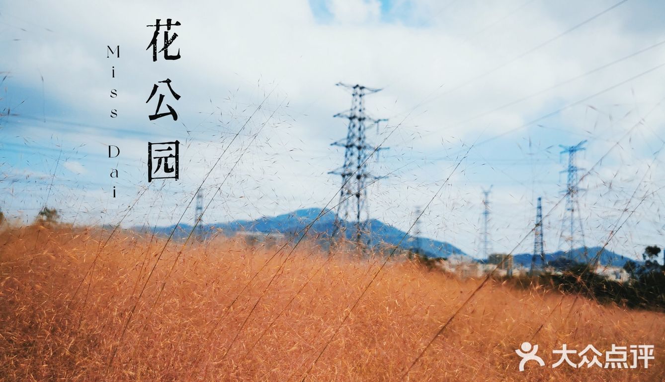 深圳周末系列第四十弹陌上花公园