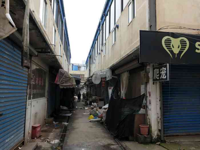 三林花鸟市场-"城市的生活节奏会很快,难得有闲暇时间