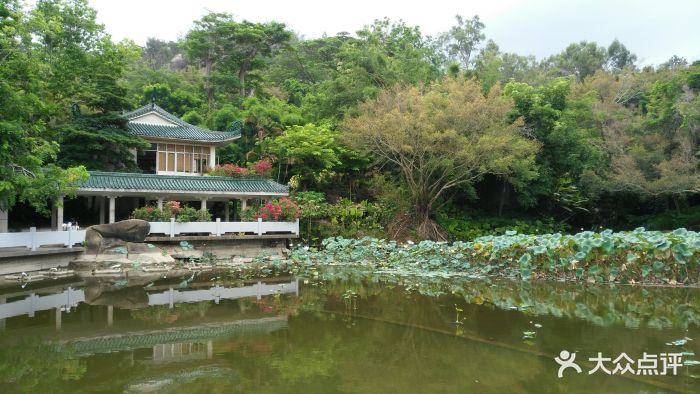 厦门大学植物园图片 - 第612张