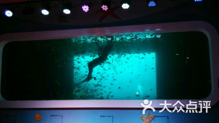 奥兰德海洋村(圆融店)-图片-苏州-大众点评网