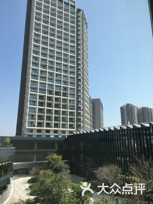 安朴珀莱酒店-图片-深圳酒店-大众点评网