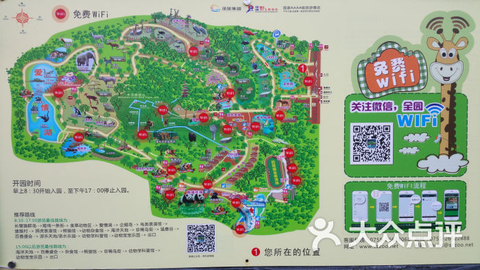 深圳野生动物园导游图图片 - 第3169张