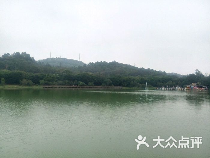 番禺大夫山森林公园旅游区图片 - 第147张