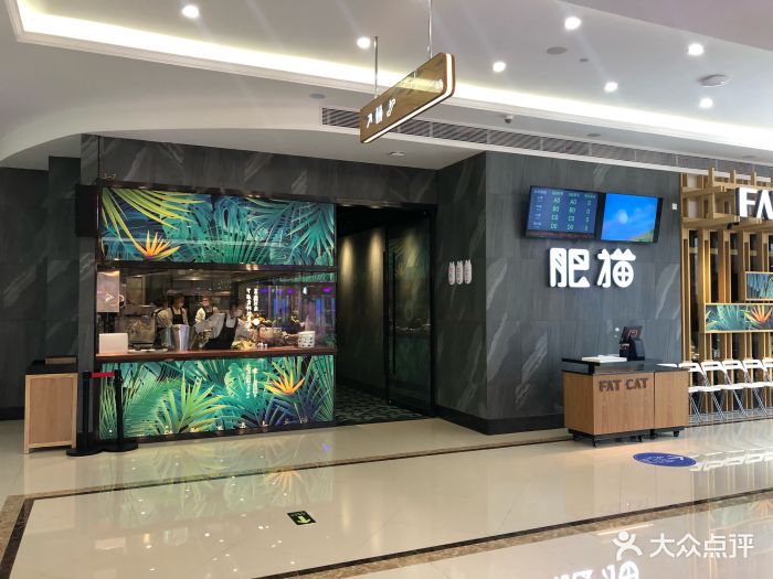 肥猫餐厅(新桥店)-图片-上海美食-大众点评网