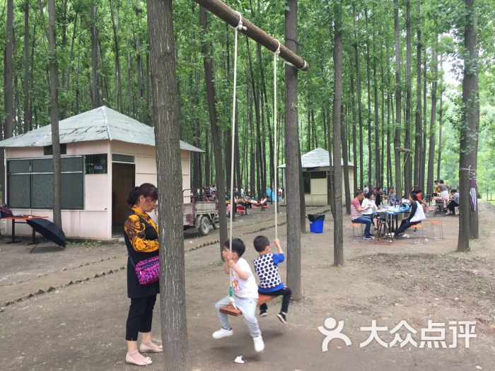 南山农艺园图片 第7张