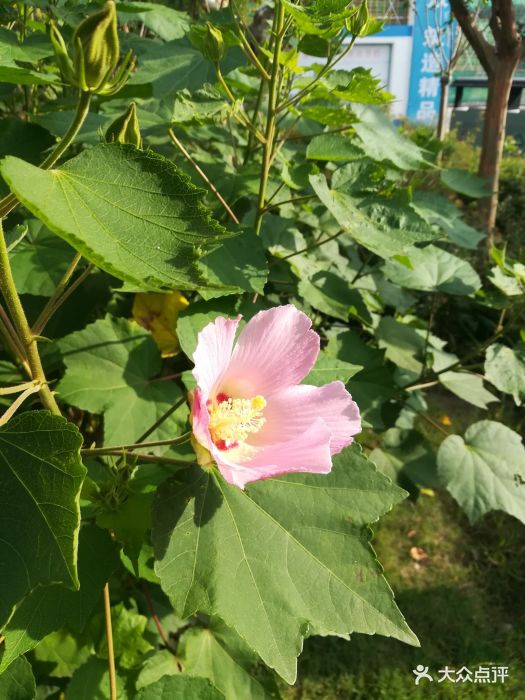 上海国际旅行卫生保健中心(浦东分中心)