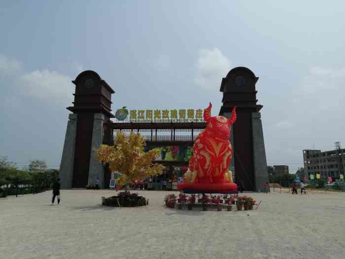 湛江市阳光玫瑰生态园-"夏天来了,天气很好,来这里转.