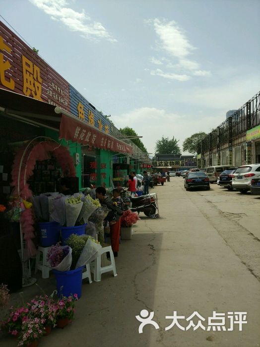 大明宫花卉市场图片 - 第3张