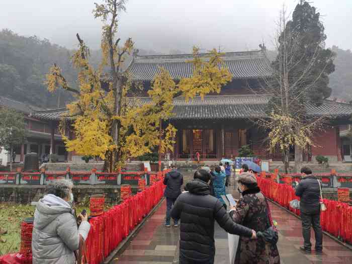 玉泉寺-"来宜昌一定要来玉泉寺逛逛呀!风景优美,交.