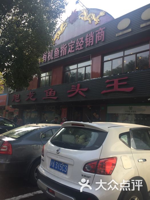 旭龙鱼头王图片 - 第8张