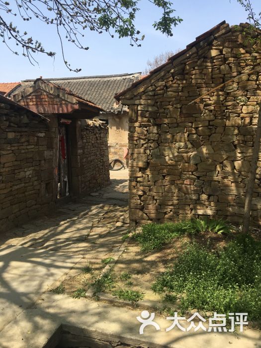 莱阳濯村樱花悠乐园的点评