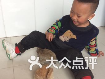 【通辽初中辅导培训机构,初中辅导入门学习】