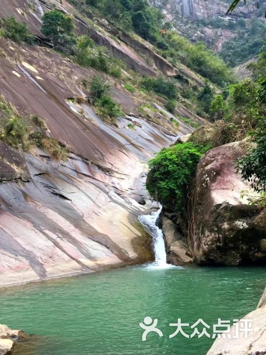 岱山岩自然森林风景区图片 第3张