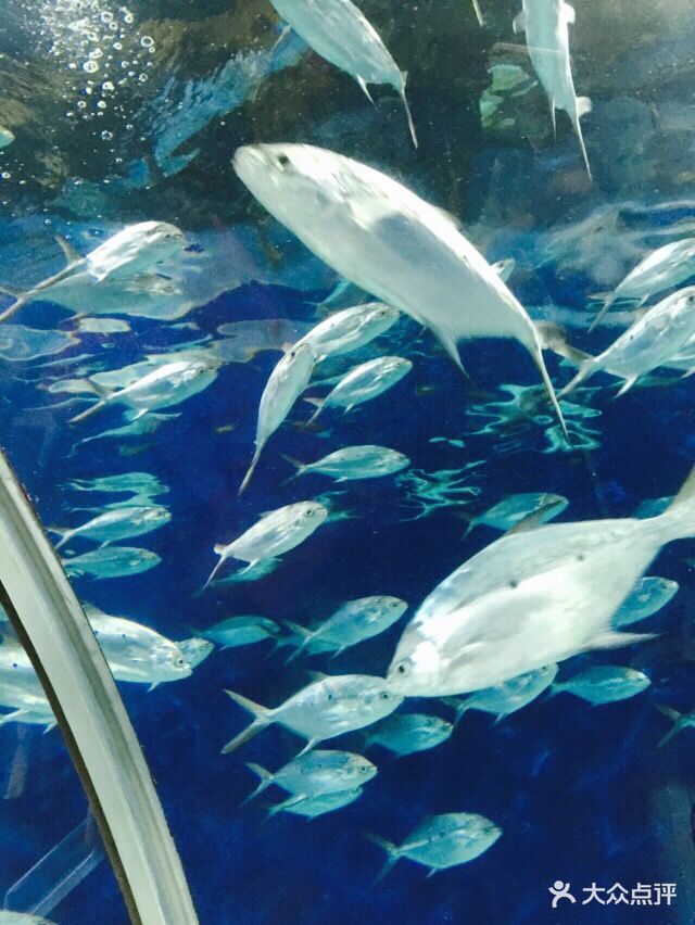 上海海洋水族馆