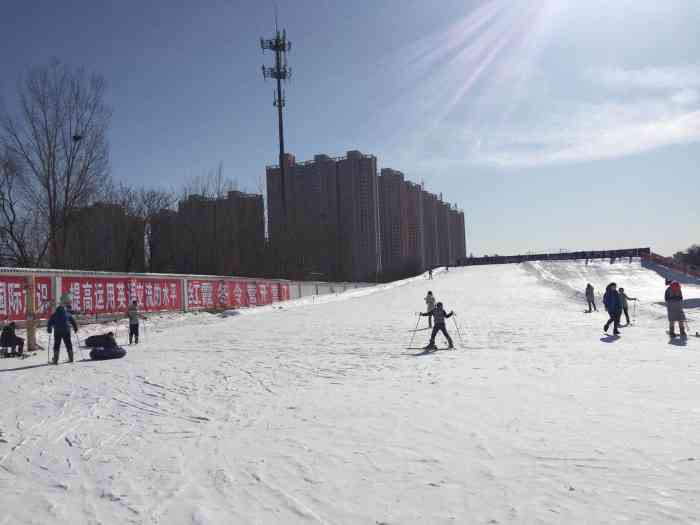 保定植物园滑雪场