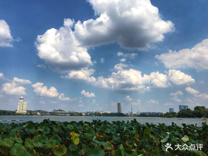 玄武湖公园图片 - 第3730张