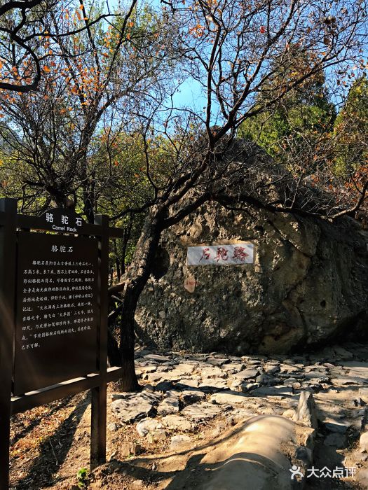 阳台山自然风景区图片 - 第5张