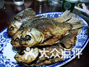 水鱼怎么玩法 JHtlP2HK3gMSl4lzioO7fZdmqbYg-xYIe96SjeGj2MMbYuOq7icNkajXTu5yOh9cs9bU8u7TlyVW3ovyQ7Jtmw.jpg