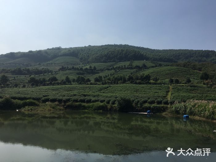 深山沟家庭农场图片