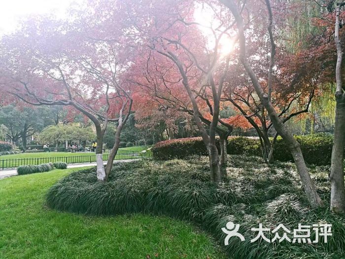 朝晖公园图片 - 第144张