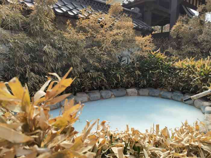 南宫江户温泉"在云岗,池子是男女分开的.和浴池连着,也.