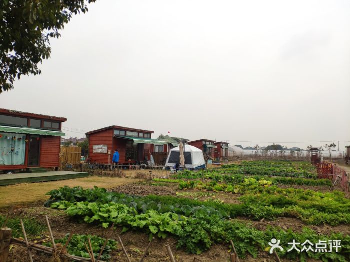 乐田家庭农场图片