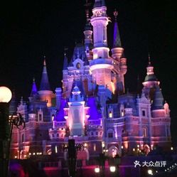 上海迪士尼游人均费用_上海迪士尼图片(3)