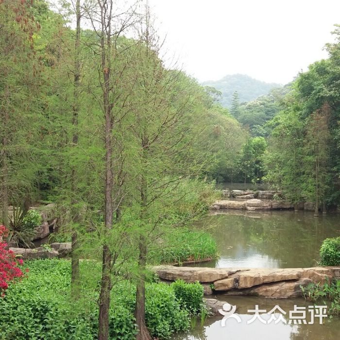 云溪生态公园