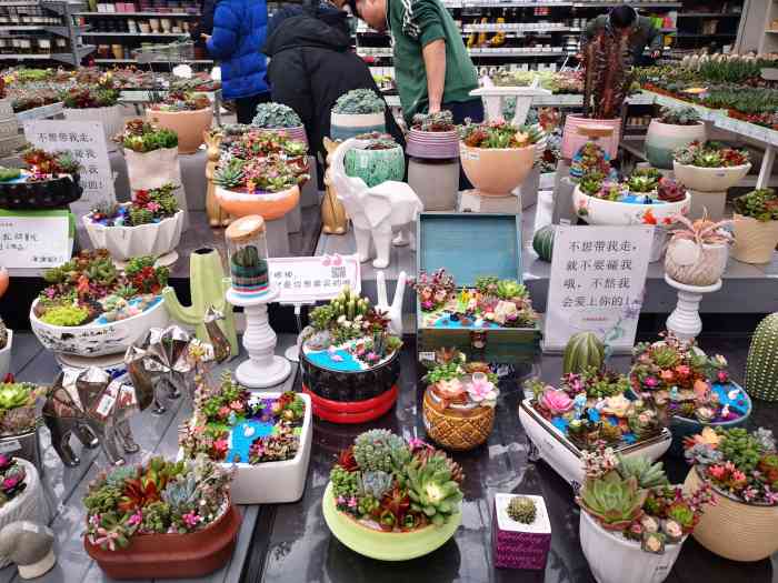 世纪奥桥花卉园艺超市停车场-"和一般的花卉市场不同