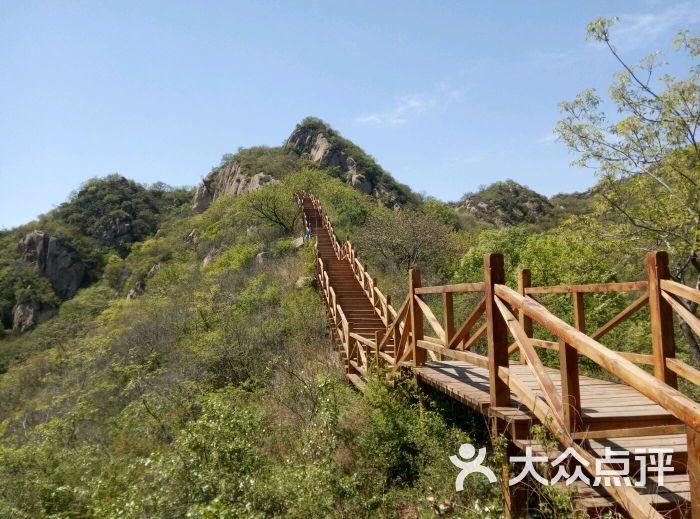 大岭沟猕猴桃谷风景区