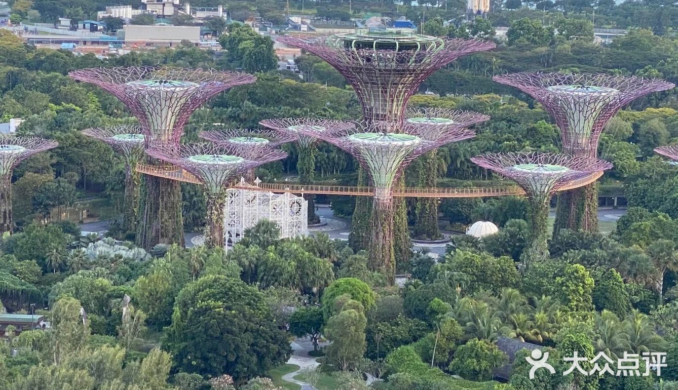 美丽新加坡滨海湾花园