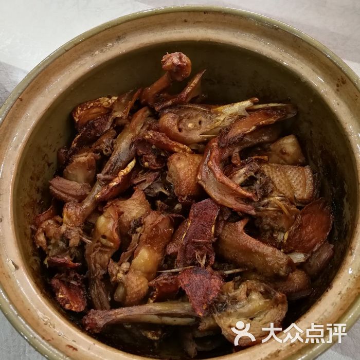 斯丹姜母鸭