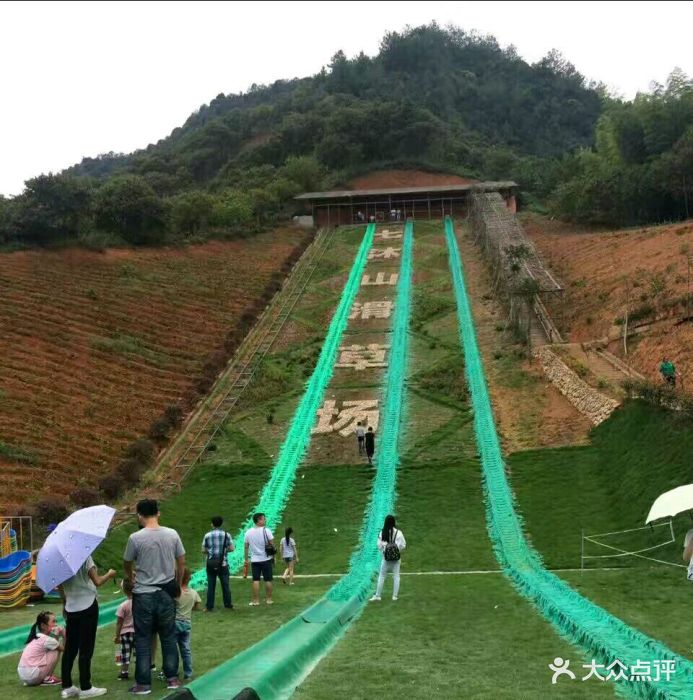 七沐山滑草场-图片-松阳县周边游-大众点评网