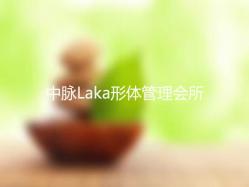 中脉内衣_中脉laka内衣(3)