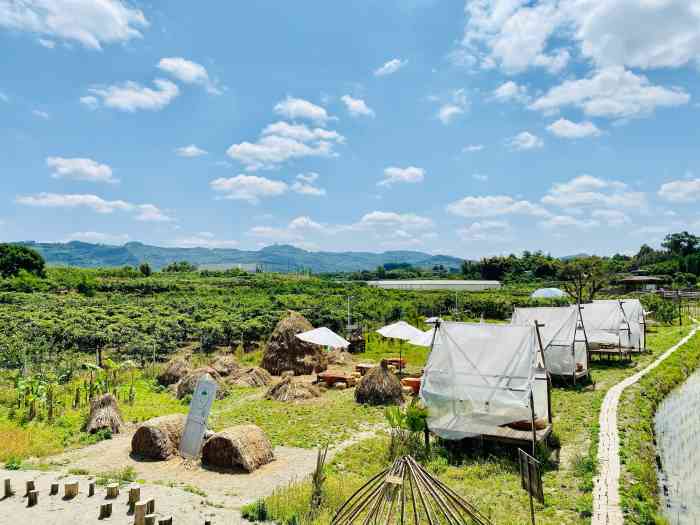 小草垛田野农场-"据说是个网红的景点,朋友圈看到有人