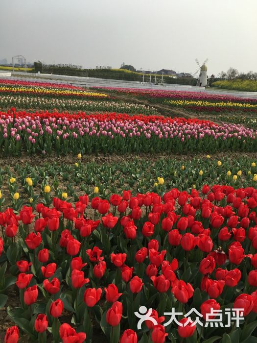 慢悠悠旅行网-99popo99张静波的相册-宁波生