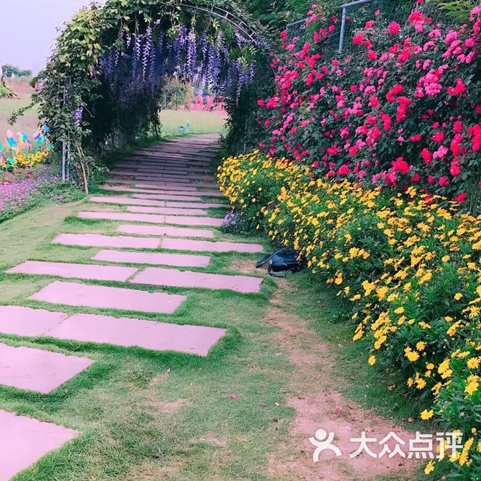 勿忘我花海