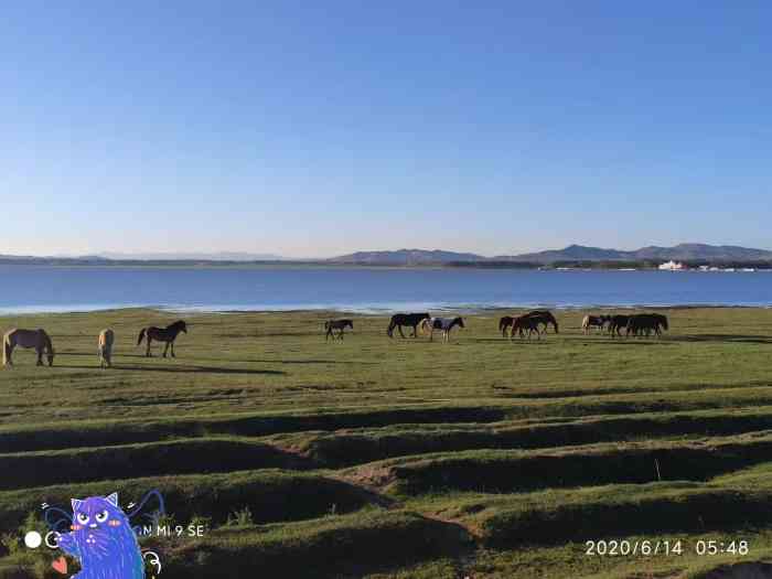 库伦淖尔旅游度假区(原沽源县天鹅湖景区)