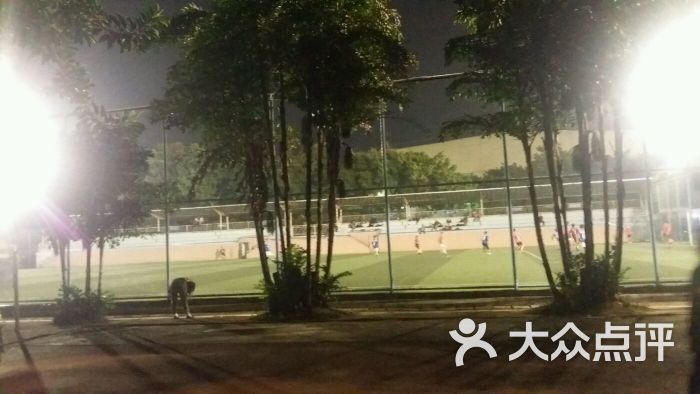 青少年足球训练基地-图片-广州运动健身