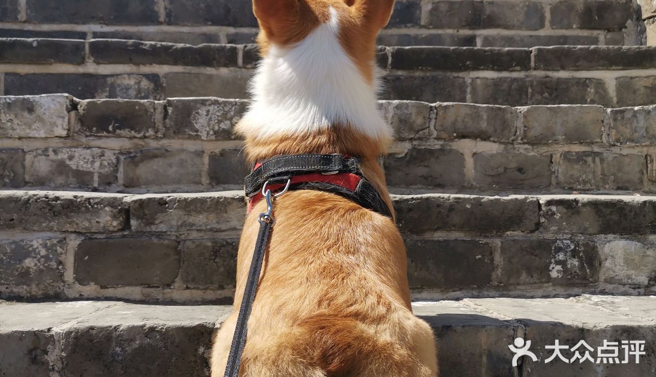 建议还是争取去上午场,时间段人少,车少