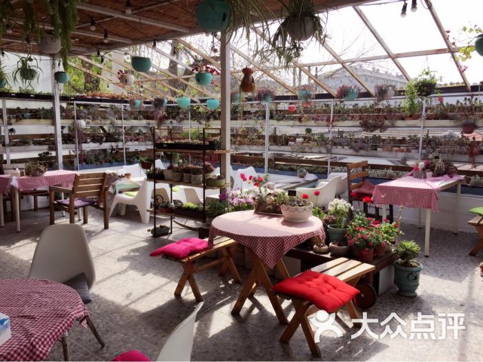 小时光多肉植物主题咖啡馆