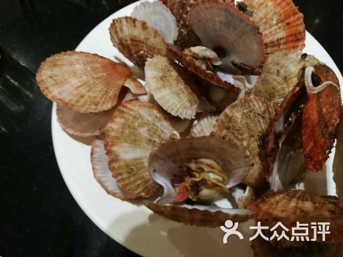 蓝钻国际美食自助百汇(石景山店)贝壳图片 - 第632张