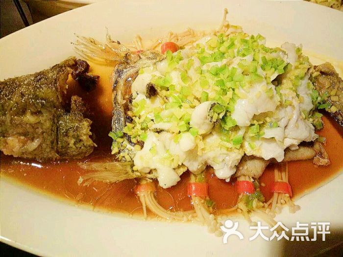 蝴蝶桂鱼