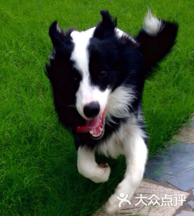 爱侣宠物医院(峨山分院)