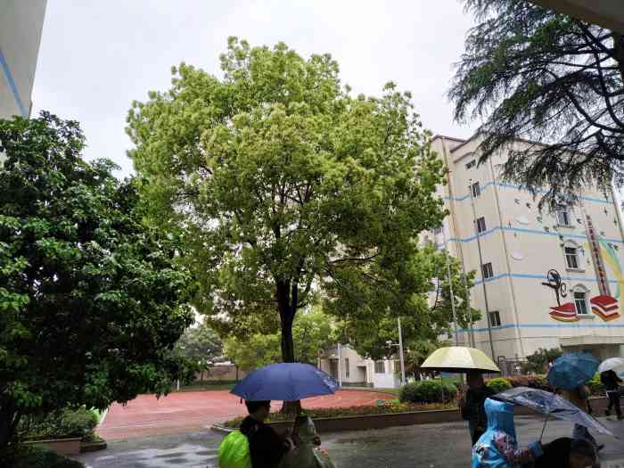 上海市浦东新区三林镇中心小学三林路校区