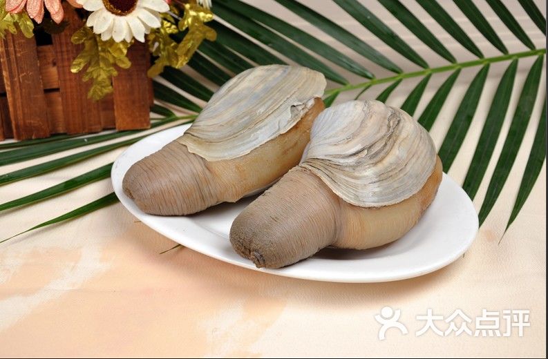 海鲜小象拔蚌_海里的象拔蚌_海鲜象拔蚌(3)