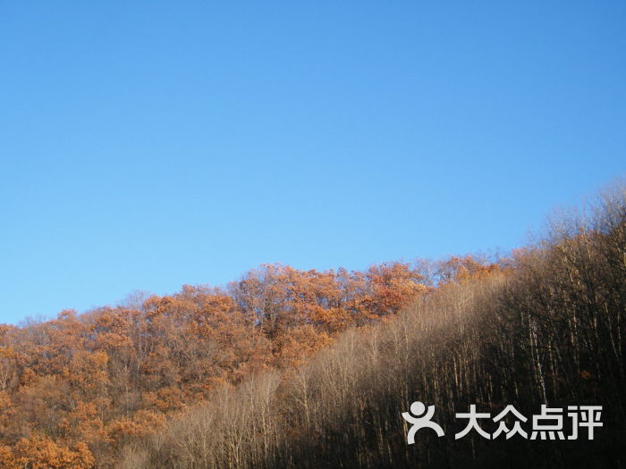 喇叭沟原始森林风景区