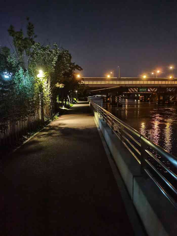 淀浦河生态长廊(小涞港~沪闵路)-"淀浦河生态长廊夜景很美,随手一拍就