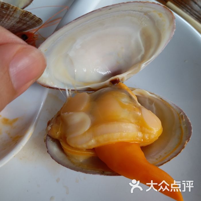 海味当家文贝图片-北京大连海鲜-大众点评网